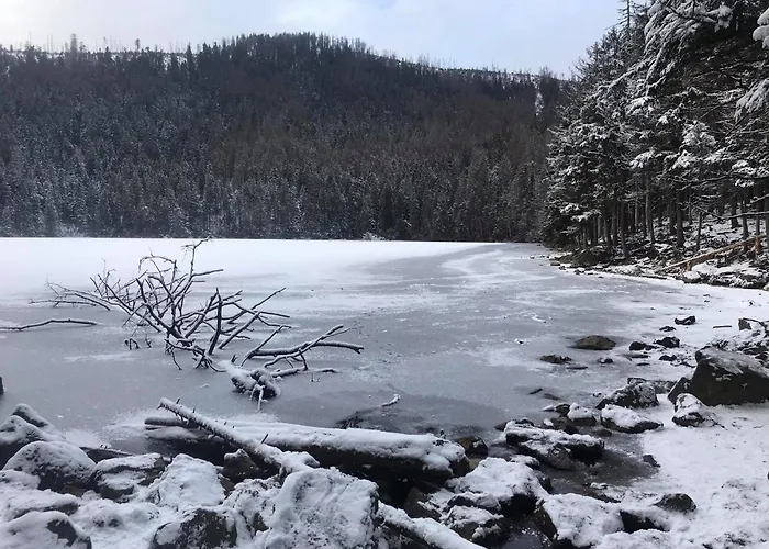 Pod Zdanovem Konukevi Nezdice